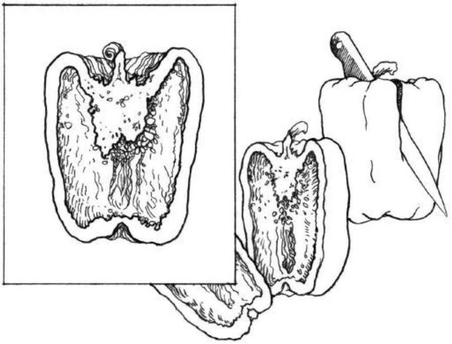 Un pimiento morrón siendo cortado por un cuchillo, las dos mitades separadas, y la cara del corte proyectada de frente dentro de un recuadro que representa el plano del dibujo